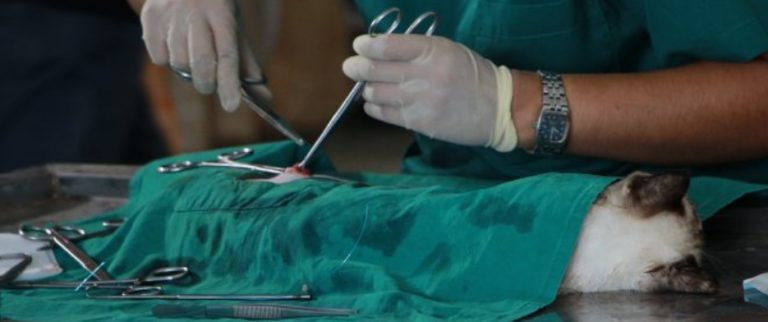 ECONOMISTA Y EL IMPACTO DEL IVA A LOS SERVICIOS EN LAS PERSONAS: «ES PROBABLE QUE LOS COSTOS AUMENTEN»